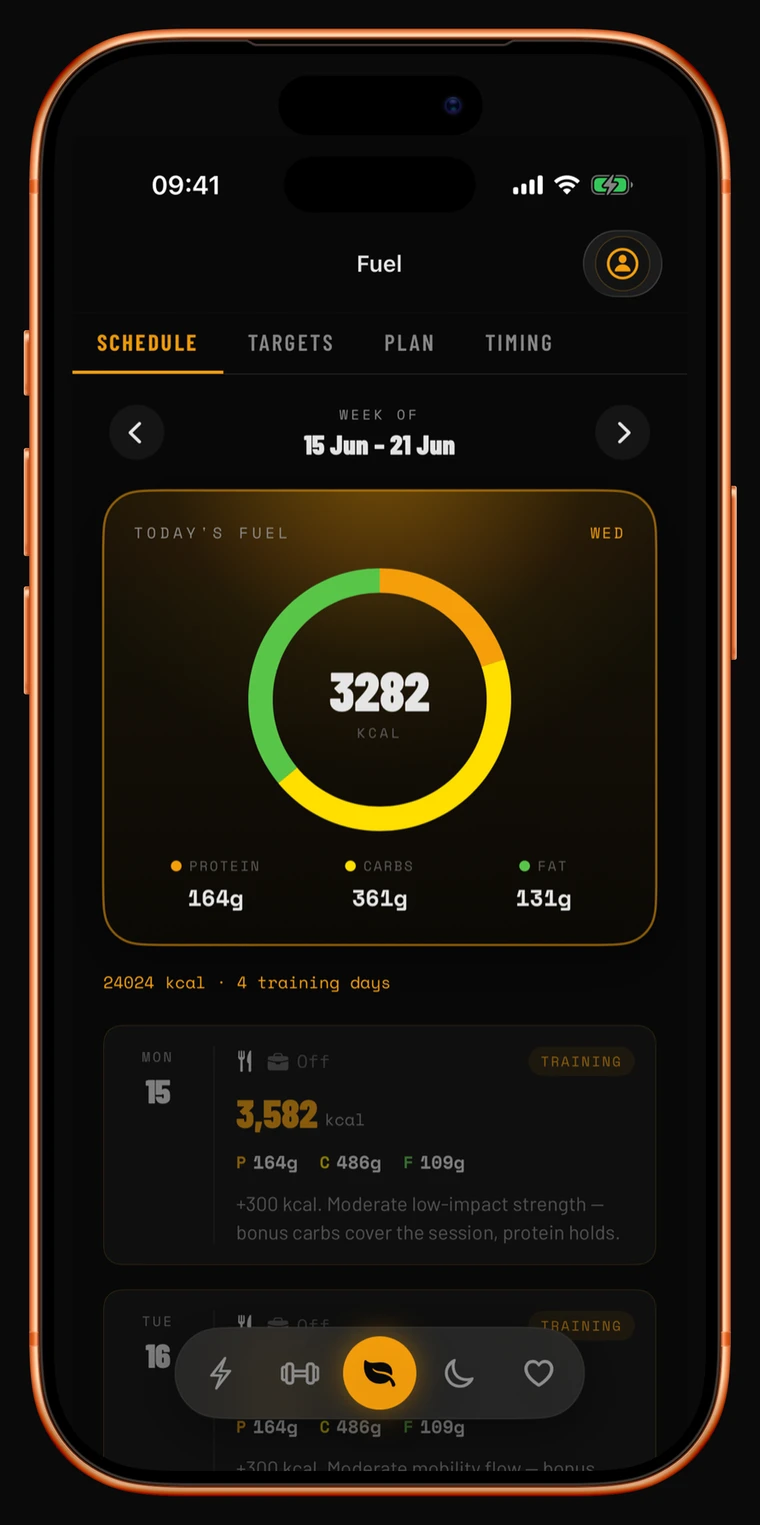 SynchroFit Fuel tab on iPhone